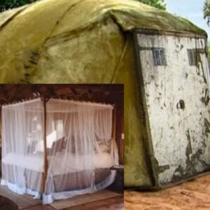 Everyone laughed at this man’s house until they walked inside