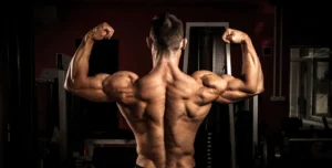 Best Shoulder Exercises
