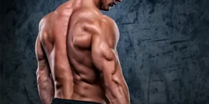 Best Triceps Exercises