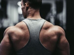 19 best back exercises