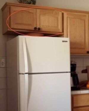 IF YOU HAVE THESE CUPBOARDS ABOVE YOUR FRIDGE, YOU HAD BETTER KNOW WHAT THEY’RE USED FOR