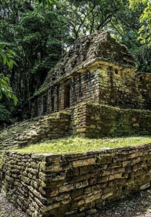 PALENQUE RUIN SITE IS A UNIQUE AND IMPORTANT MAYAN CITY