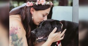 Bride’s dying pet dog lives long enough to walk her down the aisle