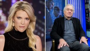 Megyn Kelly openly ‘blast’ Robert De Niro: “He is colossally stupid”