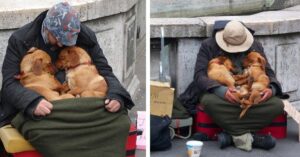 These dogs are always by the homeless man’s side, staying with him until his final breath. ‎