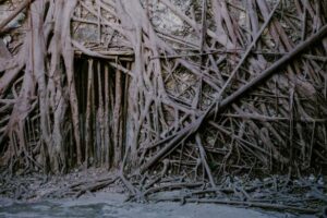 Anping Tree House, Taiwan