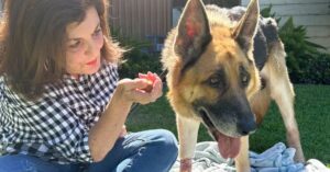 Dog Found Zip-Tied in Calif. Canyon Diagnosed with Cancer After Rescue in ‘Cruel Blow’. ‎