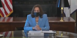 WATCH: Elon Drops Hilarious Video Roast of Kamala