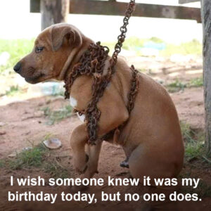 I wish someone knew it was my birthday today, but no one does. ‎