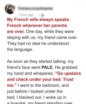 I Asked My Friend to Come over & His Ability to Speak French Revealed a Startling Family Drama