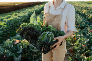 The Resilience of Farmers
