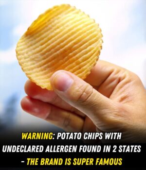 Super popular chips brand recalls products in two States – Everything You Need to Know