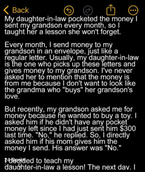 My Daughter-in-Law Pocketed the Money I Sent My Grandson Every Month – I Taught Her a Lesson She Won’t Forget
