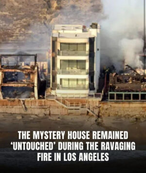 How One Man’s “Miracle” House Survived the Devastating Los Angeles Wildfires