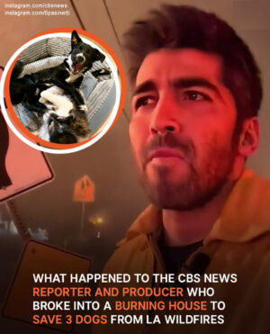 CBS News Team Breaks Into a Burning House to Save 3 Dogs from LA Wildfires