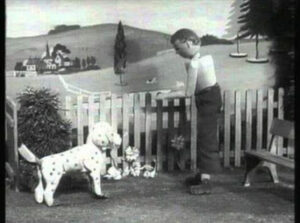 The Woodentops: A Nostalgic Classic