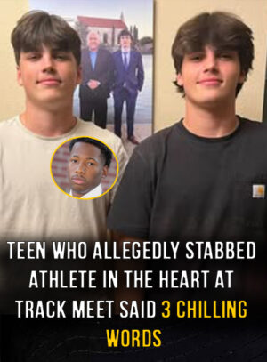 Teen suspect told Austin Metcalf “see what happens” before stabbing