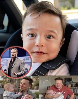 Elon Musk is often regarded as one of the most innovative and ambitious entrepreneurs of our time. With a vision of shaping the future, Musk has founded and led several groundbreaking companies, including Tesla, SpaceX, and Neuralink.