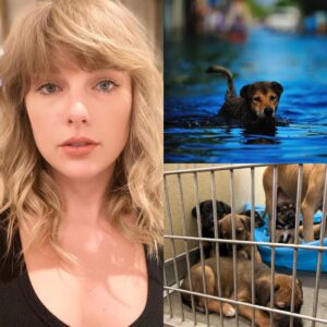  SHOCKING UPDATE: Taylor Swift donates $30 million for Texas flood relief — Thousands of dogs rescued, Search and Rescue teams deployed, and a Mobile Rescue Camp on the ground! – nyny