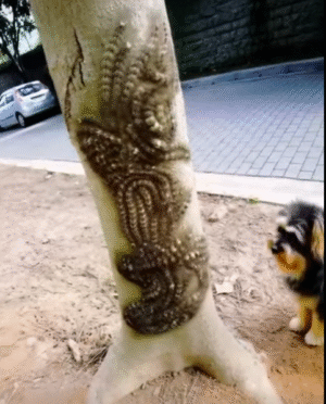 If you ever see something like this, do not touch it under any circumstances. Immediately report it to the appropriate authorities! 