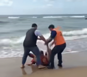 Surfer Fights Off Shark During Competition