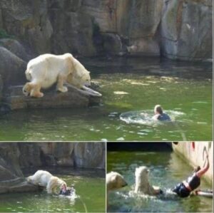 A tragic moment at Berlin Zoo highlights the importance of mental health and safety.