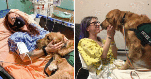 A dog’s enduring devotion helped a human family overcome illness as they banded together to care for their beloved pet.