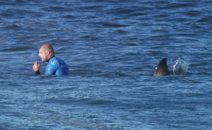 Surfer Fights Off Shark During Competition