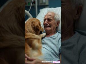 “Dog Cries with Owner in Last Emotional Moment 🐾❤️” #shorts