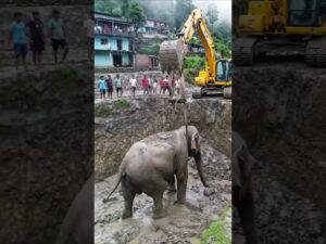 Incredible Elephant Rescue Using JCB | Villagers Unite to Save a Life #shorts