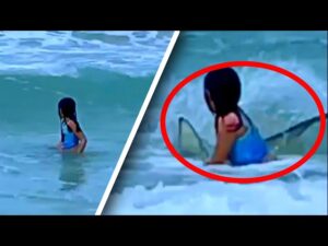 6-Year-Old Girl Has Run-in With Shark in Shallow Water