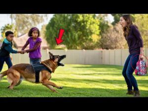 K9 Dog Exposes Dangerous Babysitter – His Bark Saved the Kids Before It Was Too Late