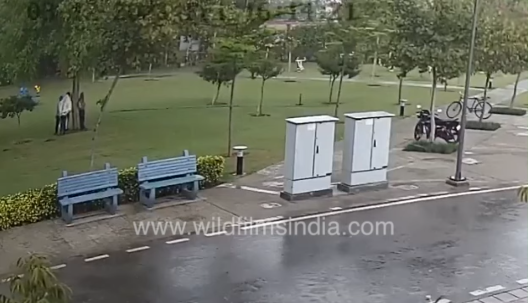 Lightning strikes four men standing under tree in a Gurgaon park, all fall to the ground