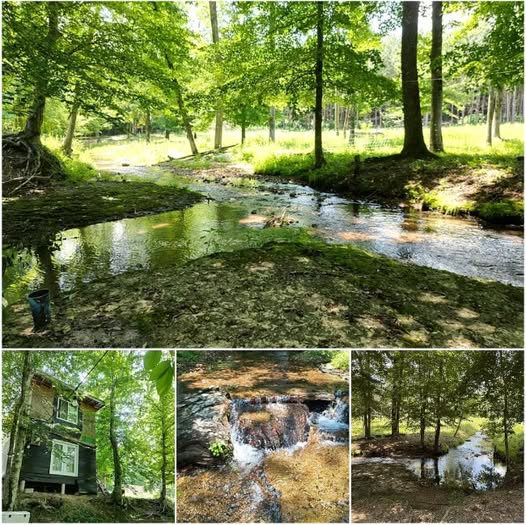 $189,000 – 20 Acres with Creek, Off-Grid Cabin & Utilities in Hampshire, TN