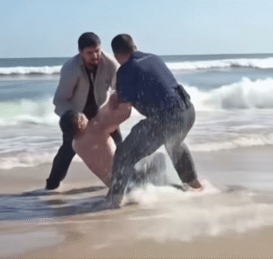 Surfer Fights Off Shark During Competition