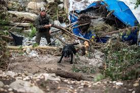 Shocking news: Today all the rescue dogs in Texas showed signs of not eating, they kept barking loudly towards the tree 900 meters away from the summer camp, the rescue team dug deep down and discovered a horrible image
