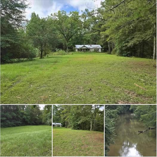 Scenic Property with Creek Frontage – Fixer-Upper Opportunity or Build New!