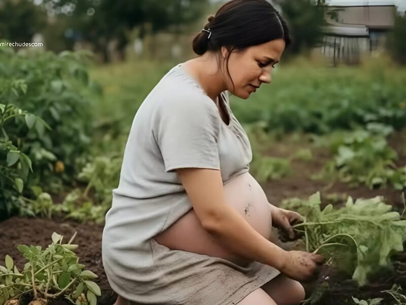 The husband left his pregnant wife with his mother to dig up potatoes while he went on vacation: but what happened one day in the garden shocked the neighbors