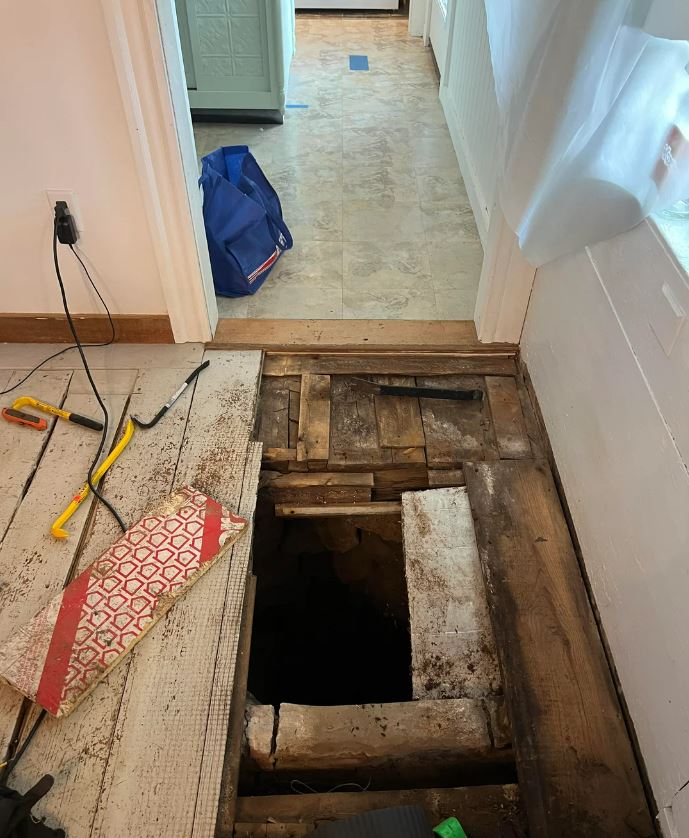 “I’m Pulling Up the Floor in the Entryway of the Original Portion of the House and to My Surprise… Look What Was Lurking Beneath!”