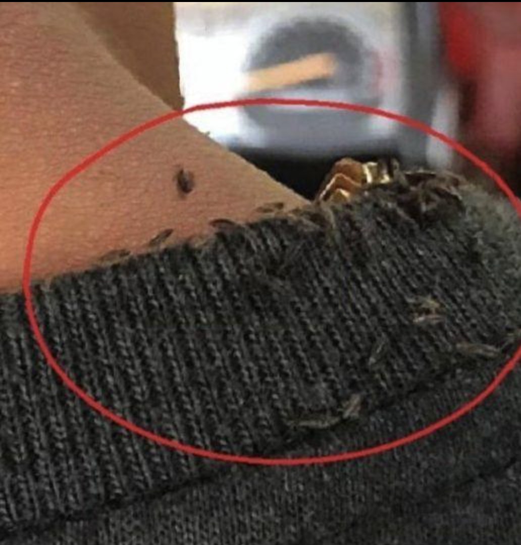 He Got on the Bus — But What He Saw Coming Out from Under the Driver’s Coat Left Him Horrified 😲😲