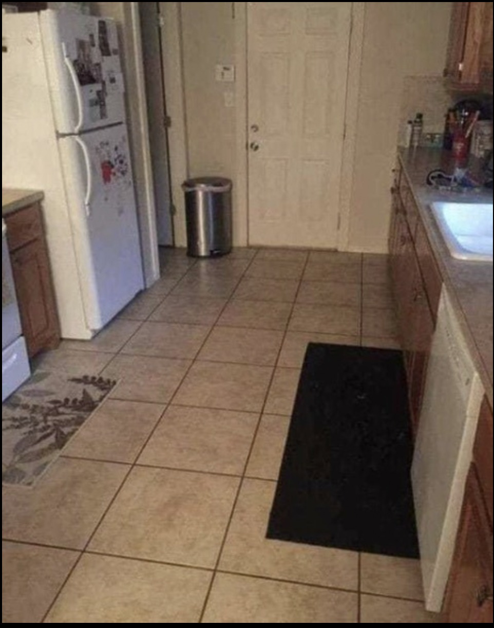There’s a Big Dog Hiding in This Kitchen—Can You Spot It?