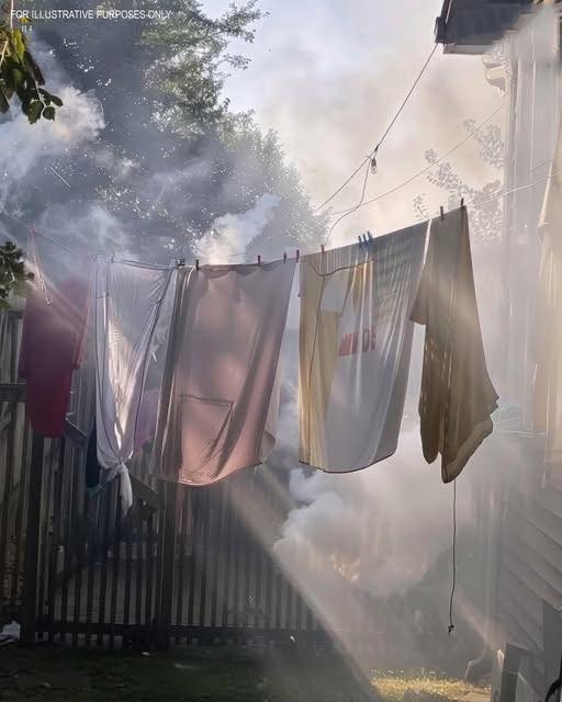 My Neighbor Started a Barbecue Every Time I Hung Laundry Outside—So I Taught Her an Unforgettable Lesson! (Part 2)