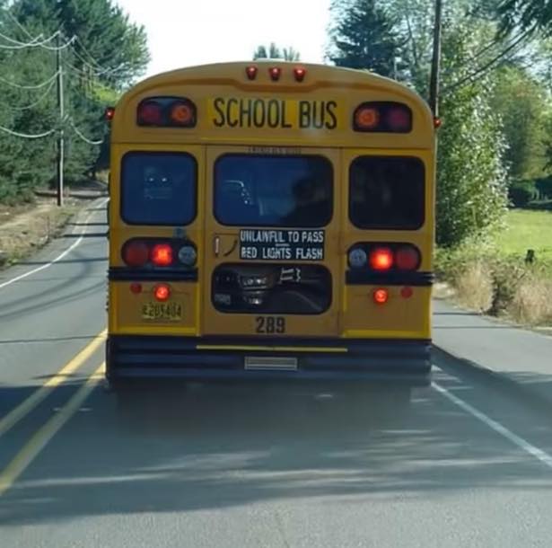I SAW A CHILD ON THE SCHOOL BUS HITTING THE BACK WINDOW AND YELLING FOR HELP