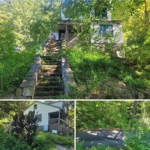 Charming Mountain Retreat with Endless Potential