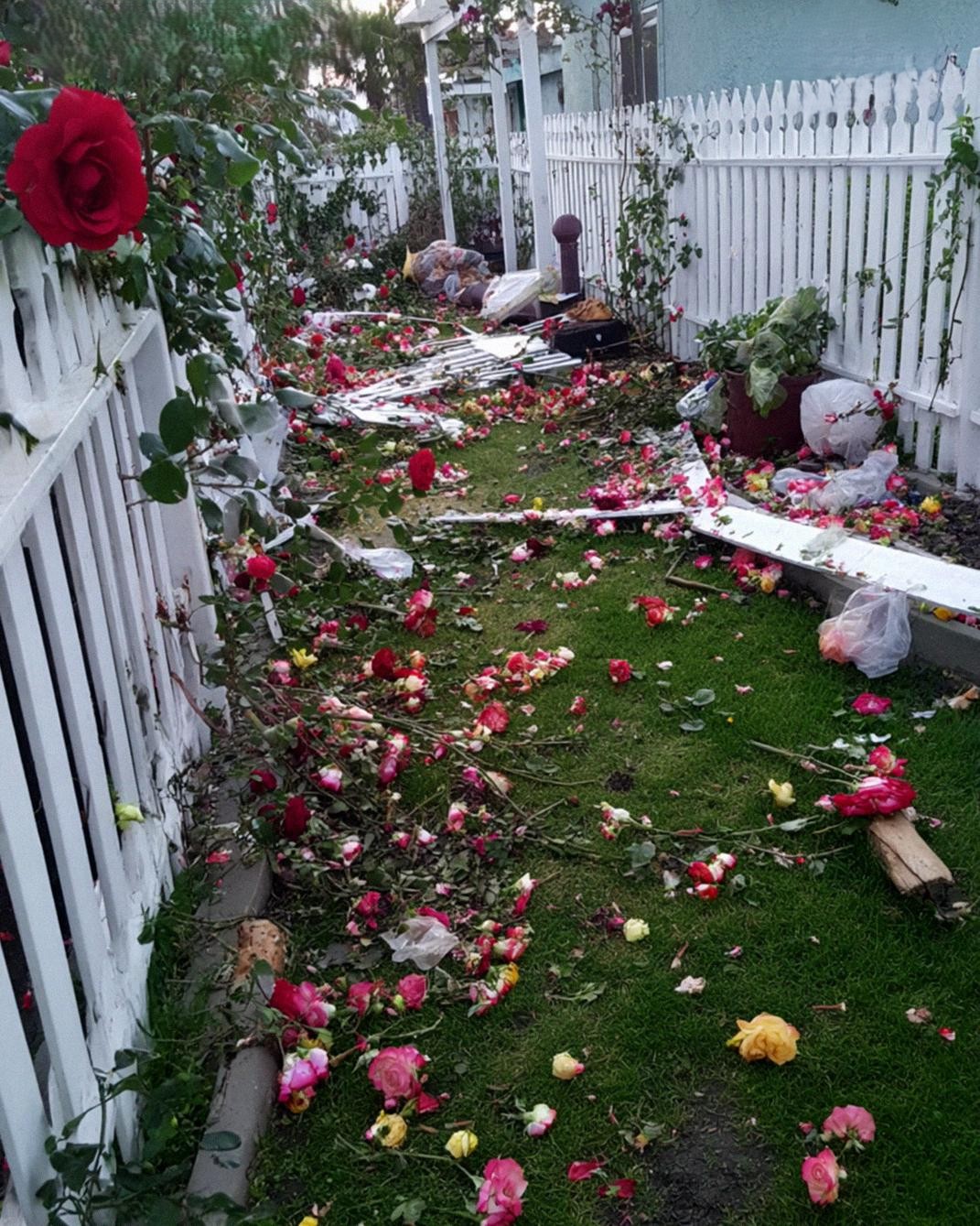 My Future SIL Ruined My Yard for Her Wedding – My Wedding Gift Left Her Speechless