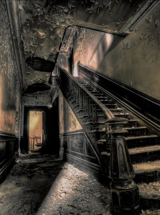 Steele Mansion: A Tale of Grandeur, Ruin, and Revival