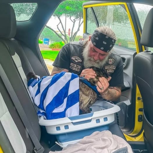 The Biker, The Blue Towel, and a Moment That Changed Everything