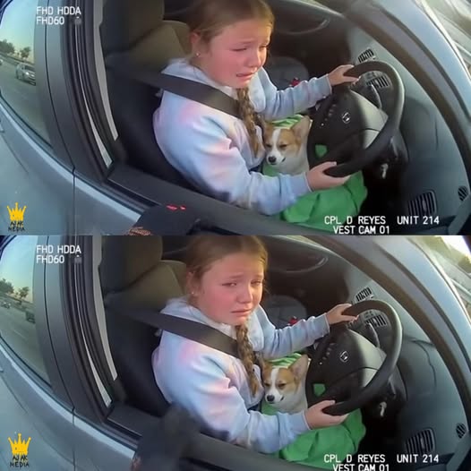 12 Year Old [P.ull.ed] over while Trying to Save Her Puppy in Texas!