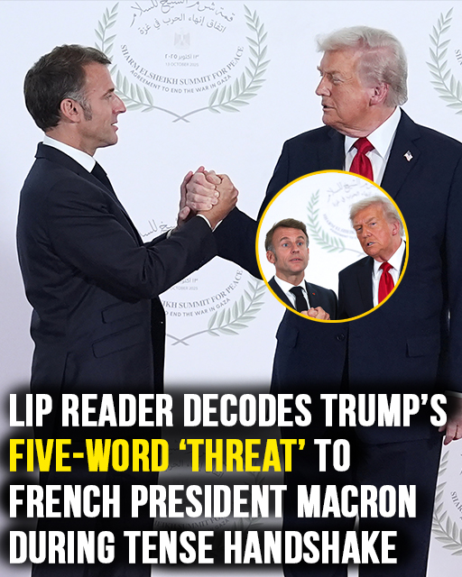 Lip reader decodes Trump’s 5-word ‘threat’ to Macron during bizarre handshake