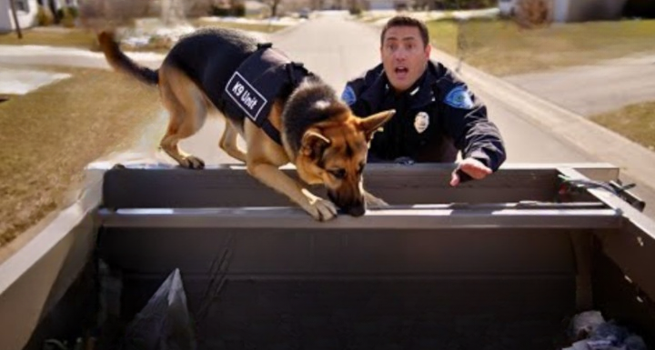 A Routine Morning Patrol Becomes a Remarkable Rescue: The Day a Dedicated K9 Saved a Baby from a Garbage Truck